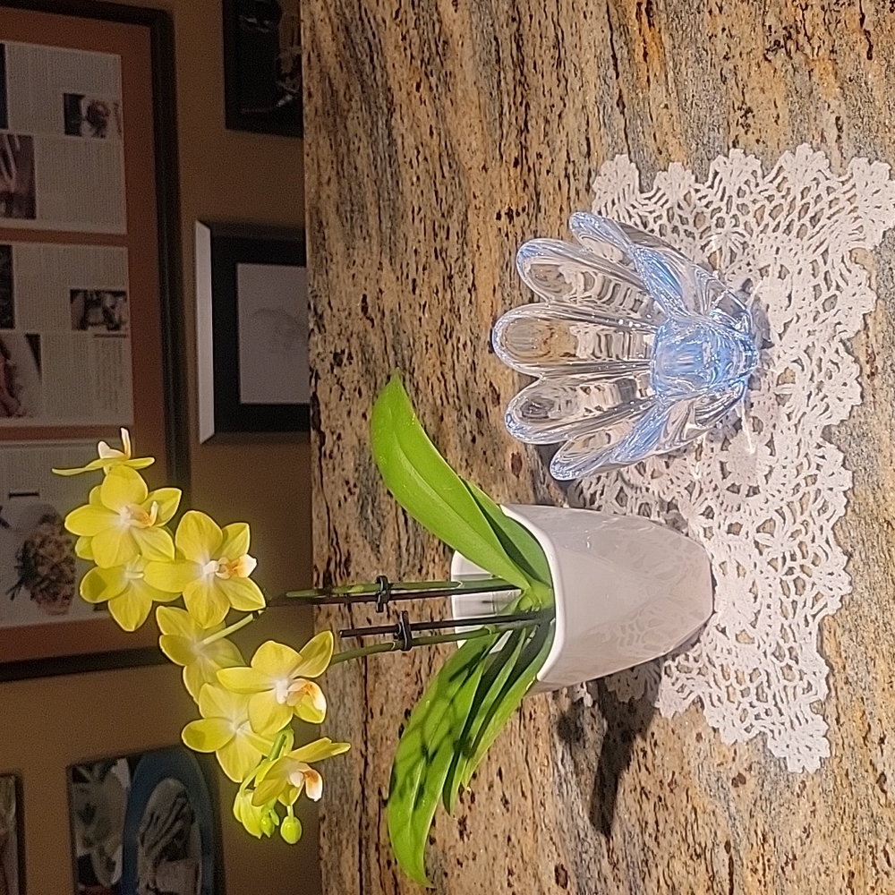 Orrefors Sweden lotus petal bowl